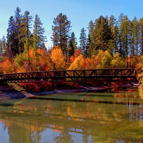 Whitefish-1-web Whitefish-1-web