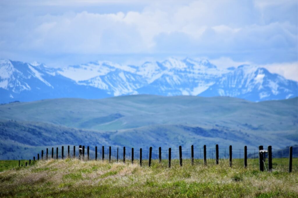 What Happens If You Die Without a Will in Montana? 