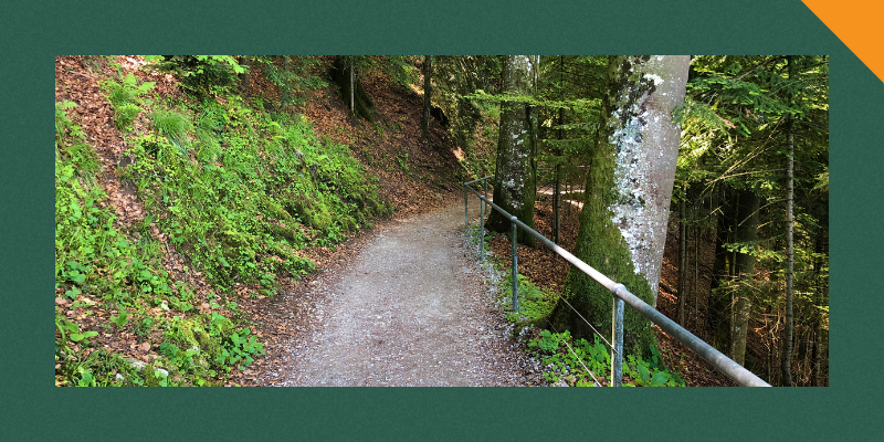 Featured image of a trail through a forest bordered in green with an orange triangle in top right corner